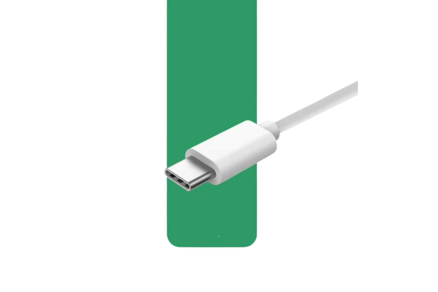 E-Leaf USB- C Charging Cable